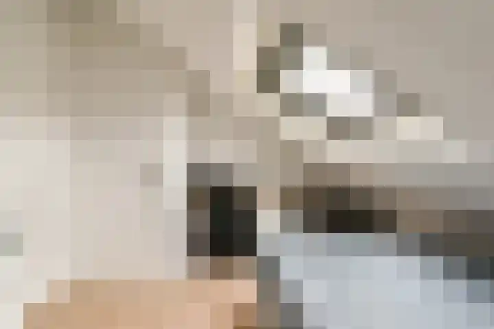 de Ruijterstraat 12 Lisse thumbnail 14