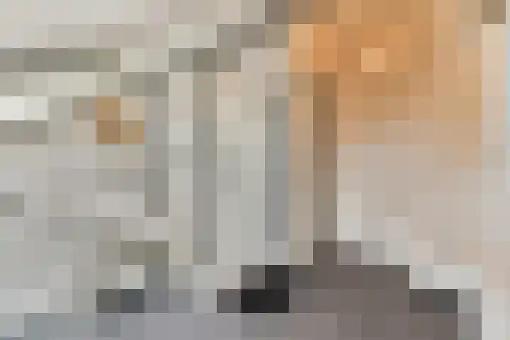de Ruijterstraat 12 Lisse thumbnail 18
