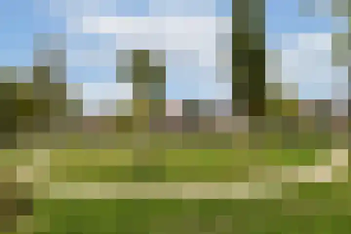 de Ruijterstraat 12 Lisse thumbnail 19