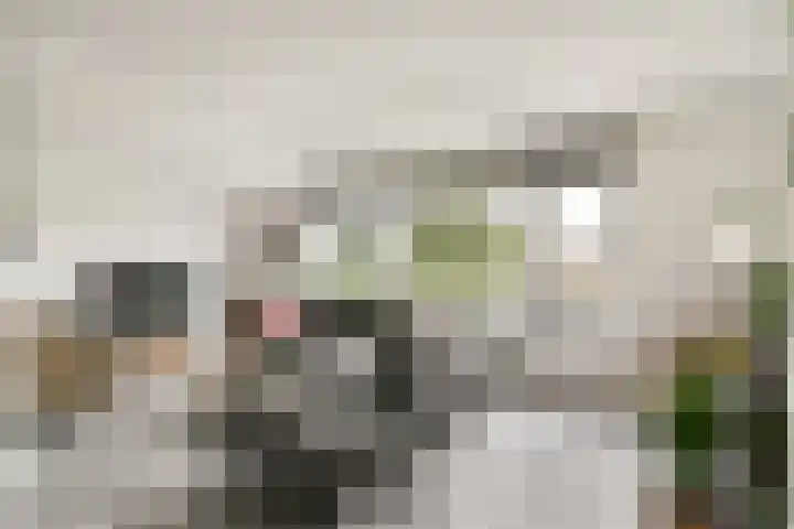 de Ruijterstraat 12 Lisse thumbnail 4
