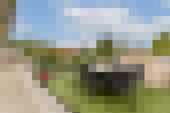 de Ruijterstraat 12 Lisse thumbnail 5