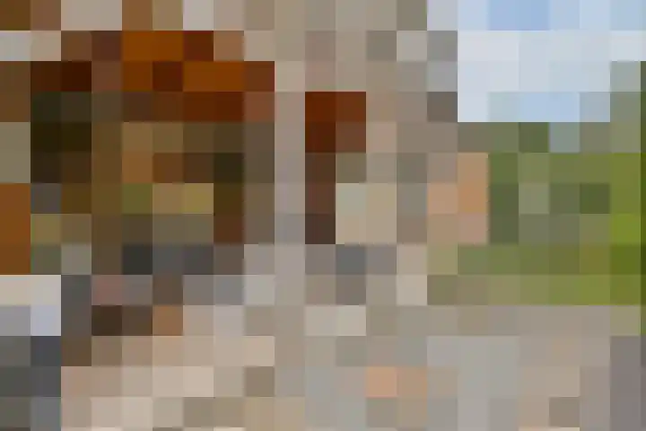 de Ruijterstraat 12 Lisse thumbnail 7