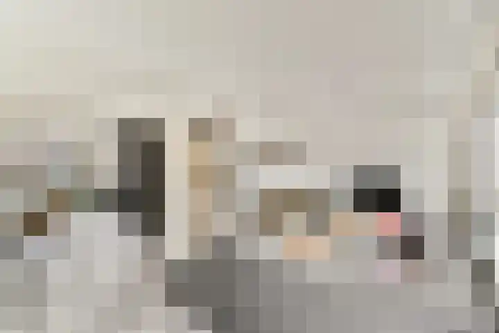 de Ruijterstraat 12 Lisse thumbnail 8