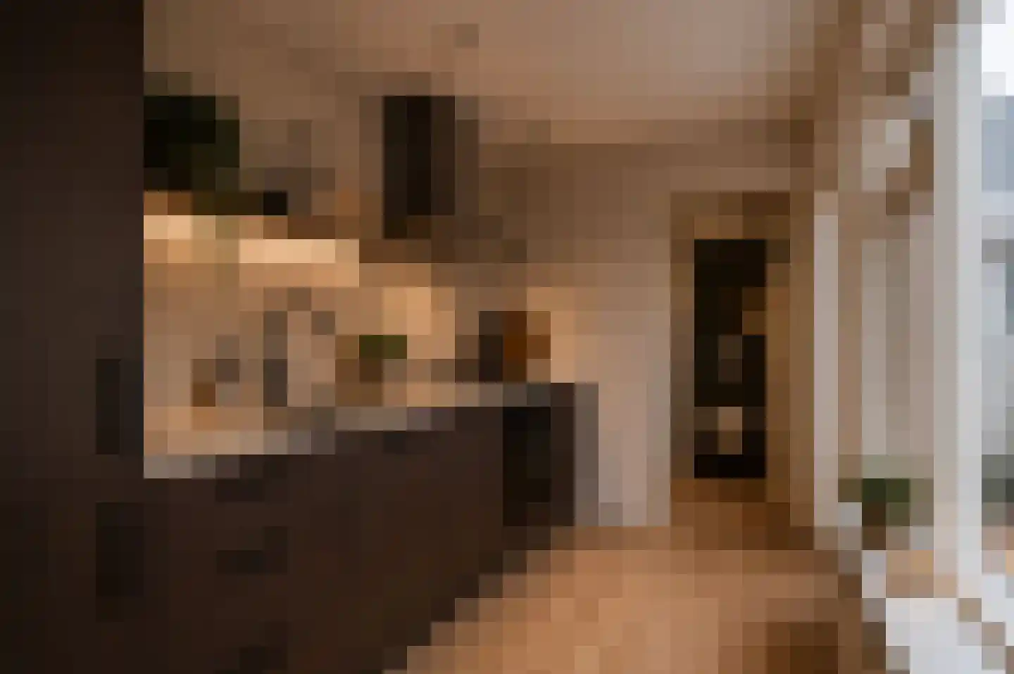 De Ruijterstraat 16 Den Helder thumbnail 11