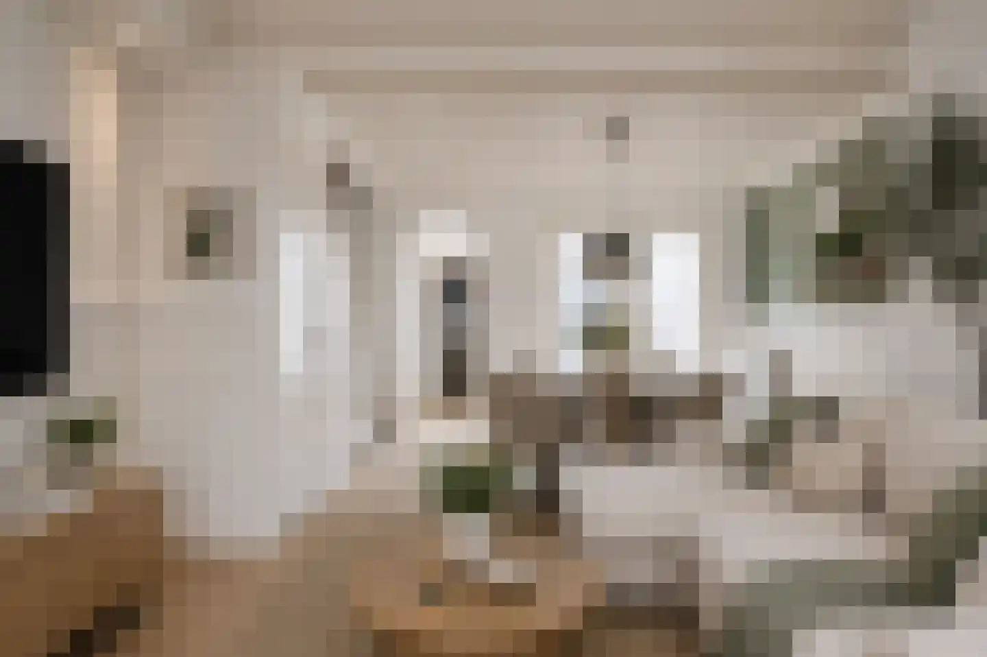 De Ruijterstraat 16 Den Helder thumbnail 5