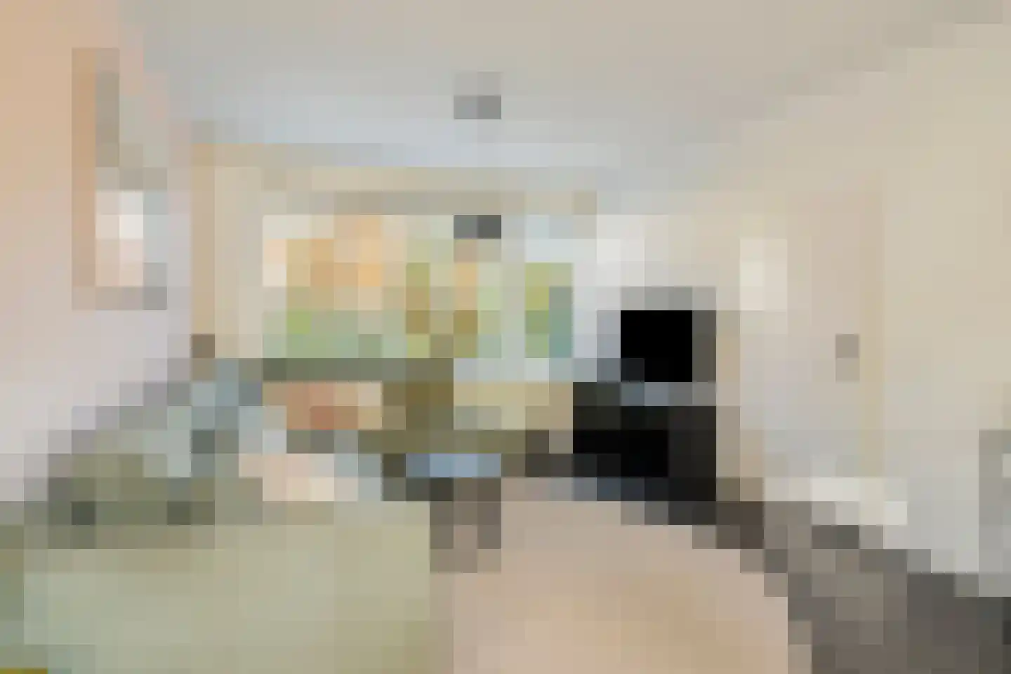 de Ruijterstraat 16 Son en Breugel thumbnail 13