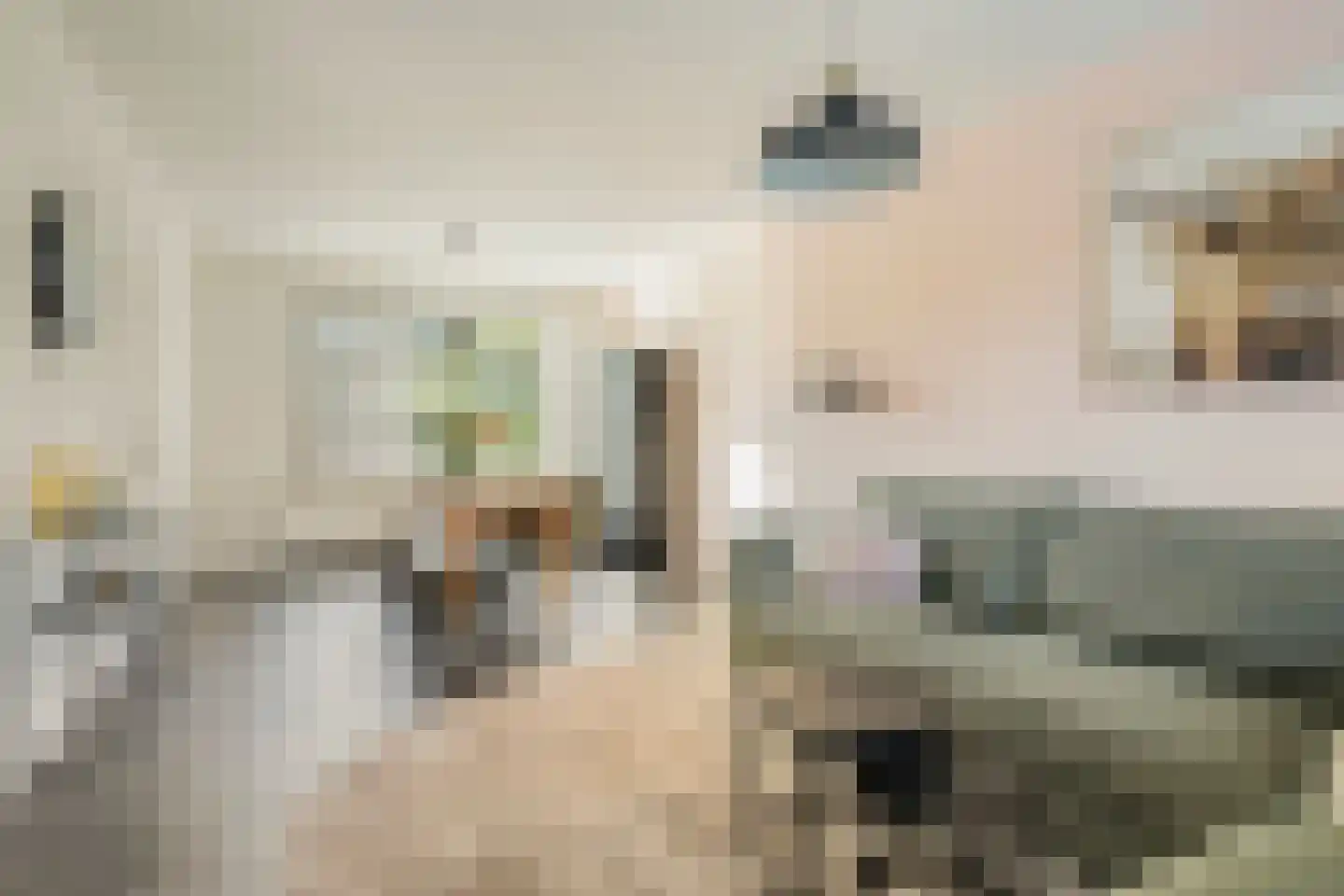 de Ruijterstraat 16 Son en Breugel thumbnail 14
