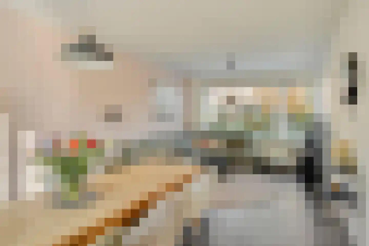 de Ruijterstraat 16 Son en Breugel thumbnail 16