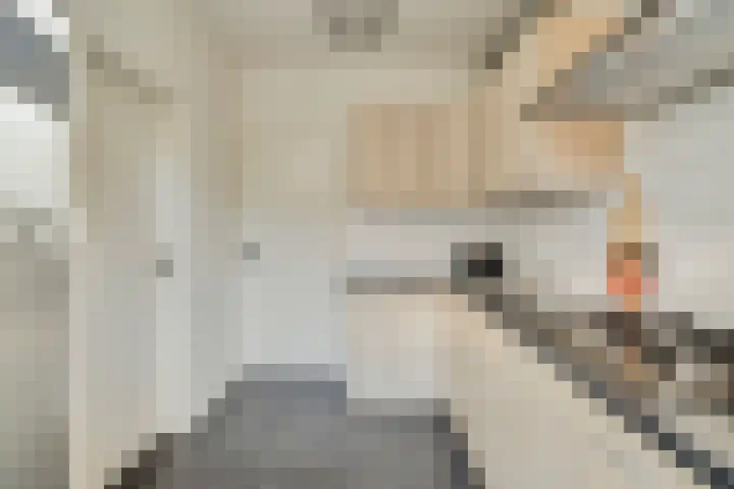 de Ruijterstraat 16 Son en Breugel thumbnail 18