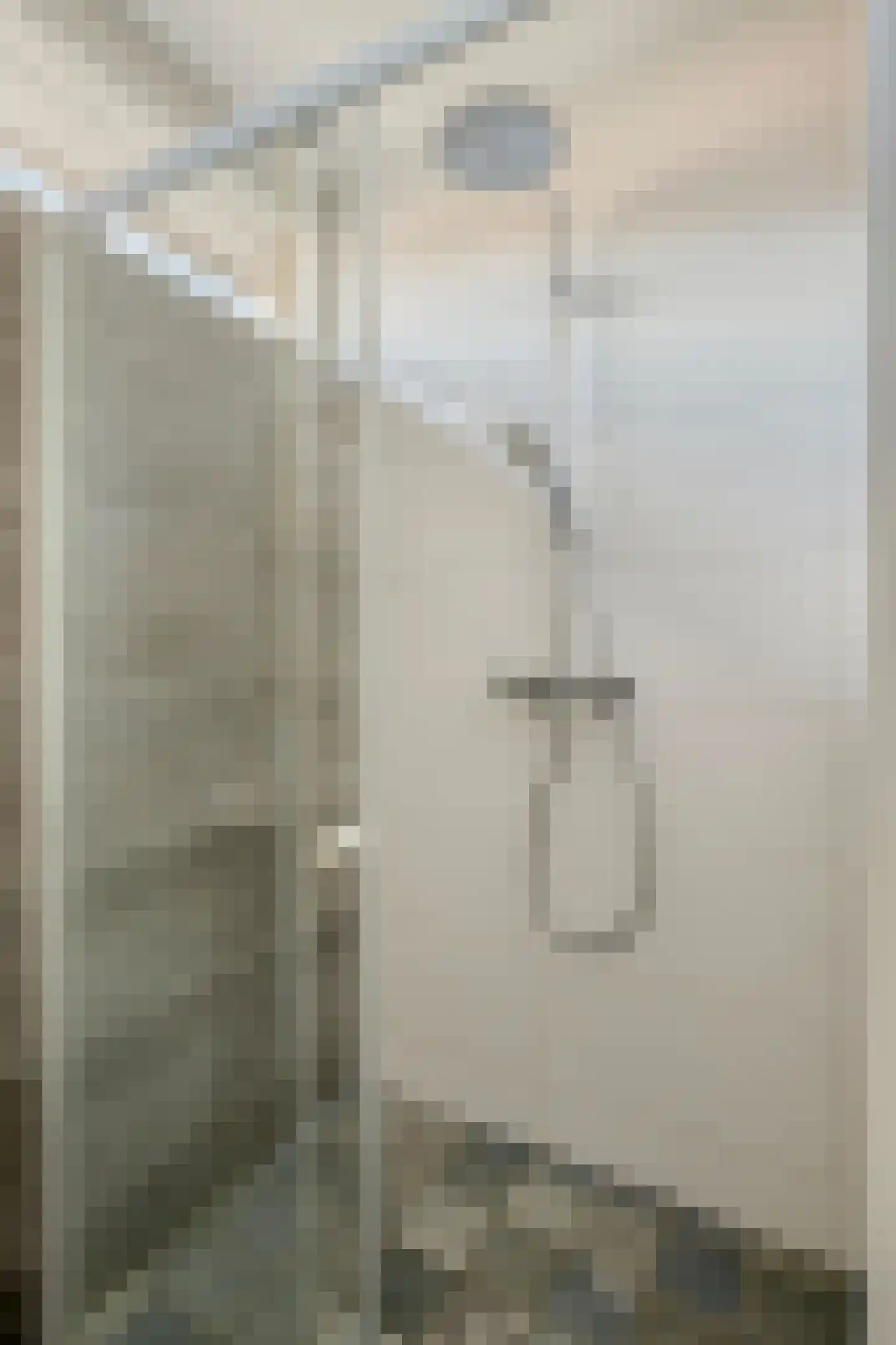 de Ruijterstraat 16 Son en Breugel thumbnail 23
