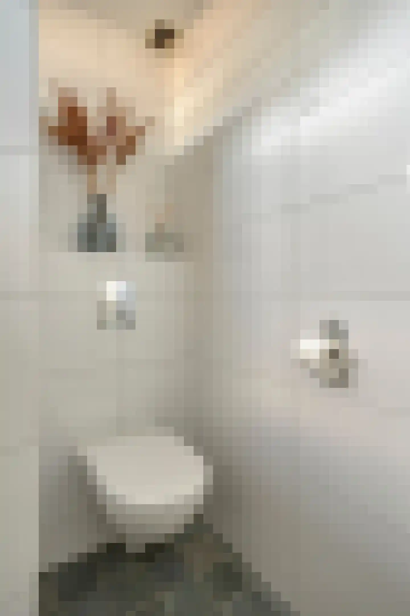 de Ruijterstraat 16 Son en Breugel thumbnail 24