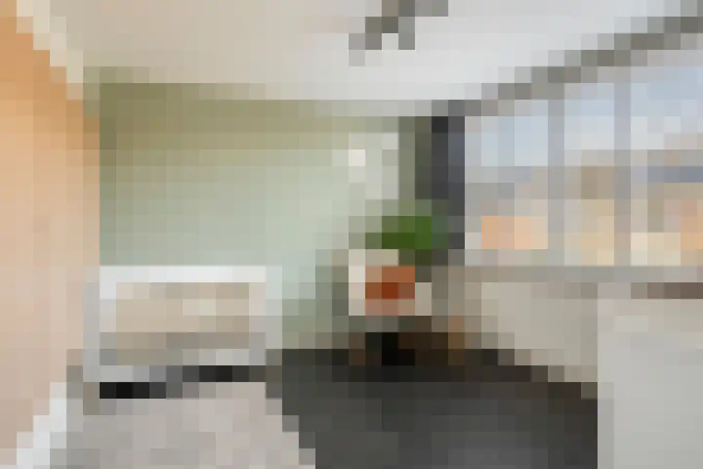 de Ruijterstraat 16 Son en Breugel thumbnail 25