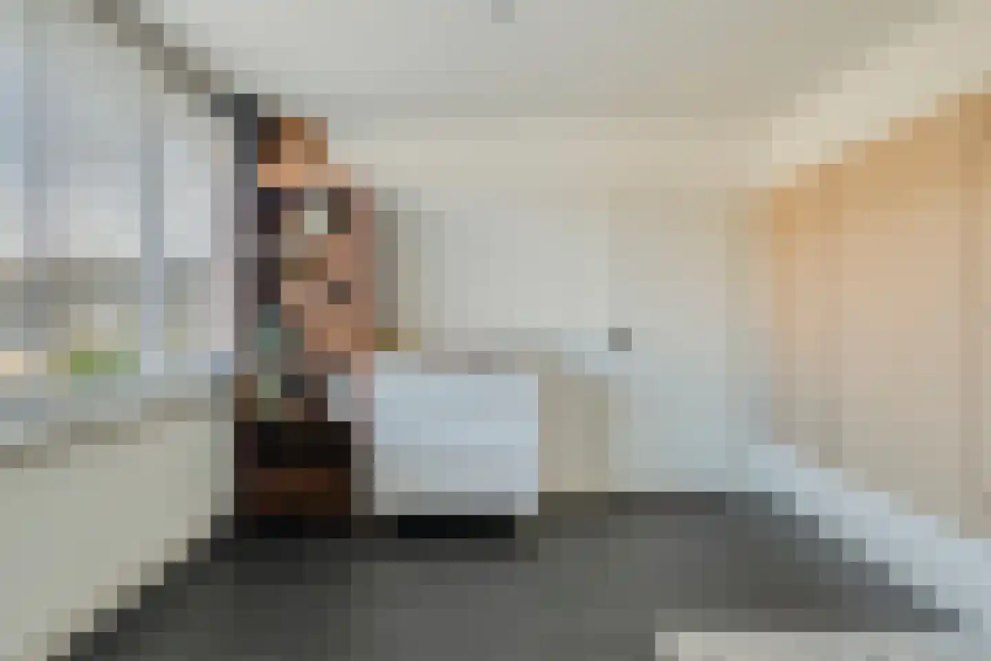 de Ruijterstraat 16 Son en Breugel thumbnail 26
