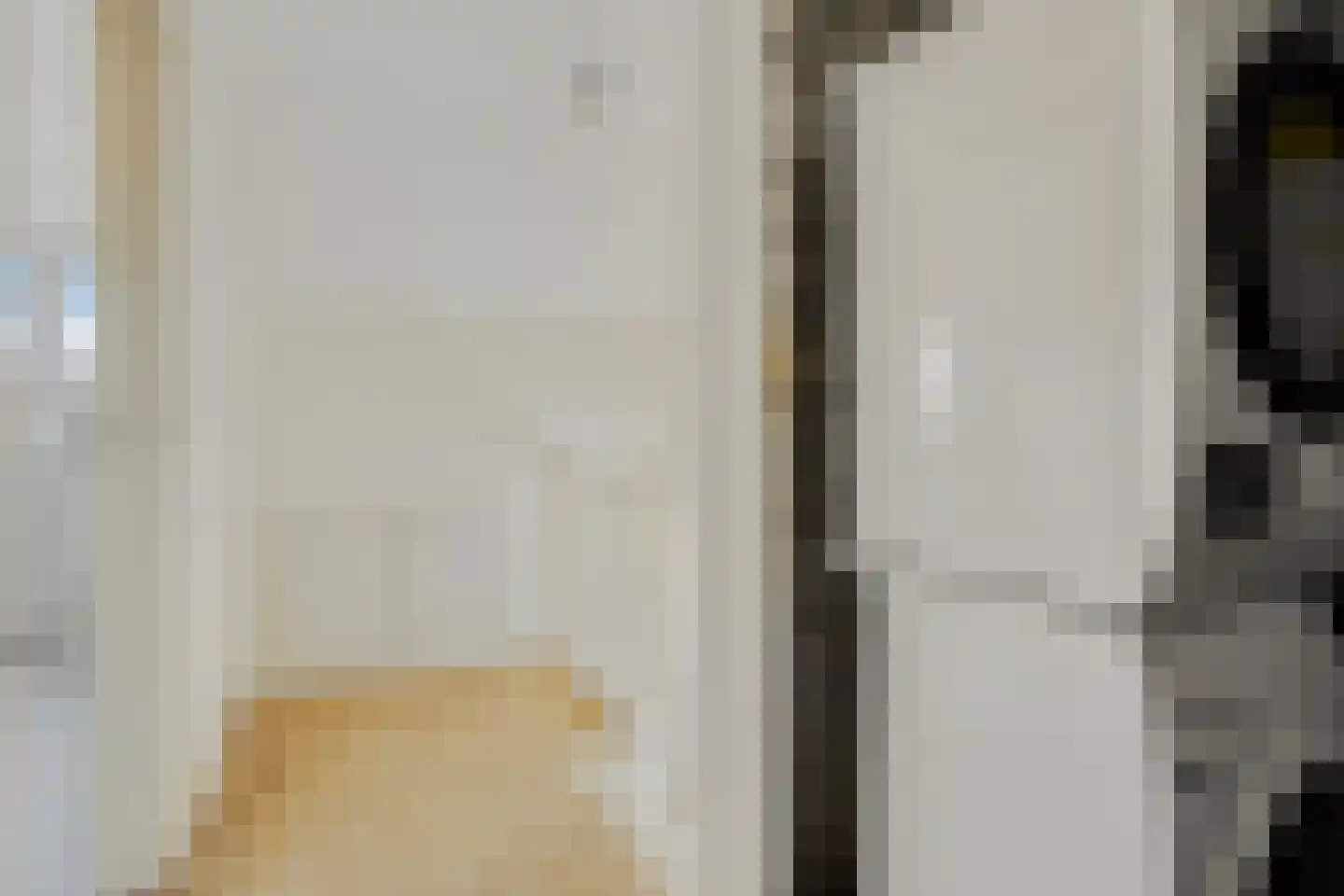 de Ruijterstraat 16 Son en Breugel thumbnail 28