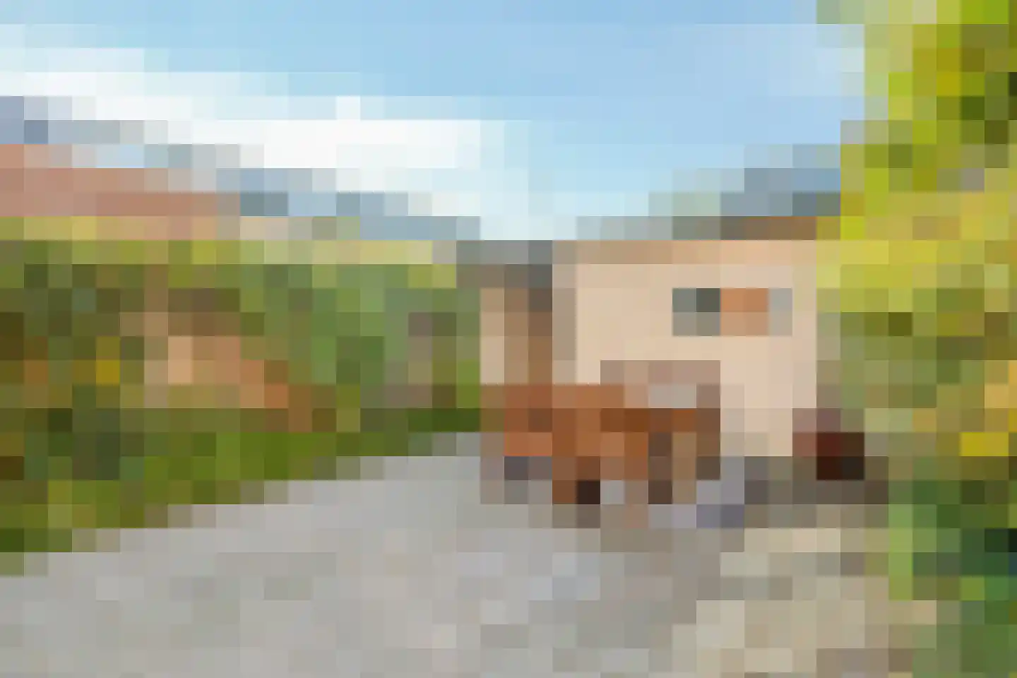 de Ruijterstraat 16 Son en Breugel thumbnail 32