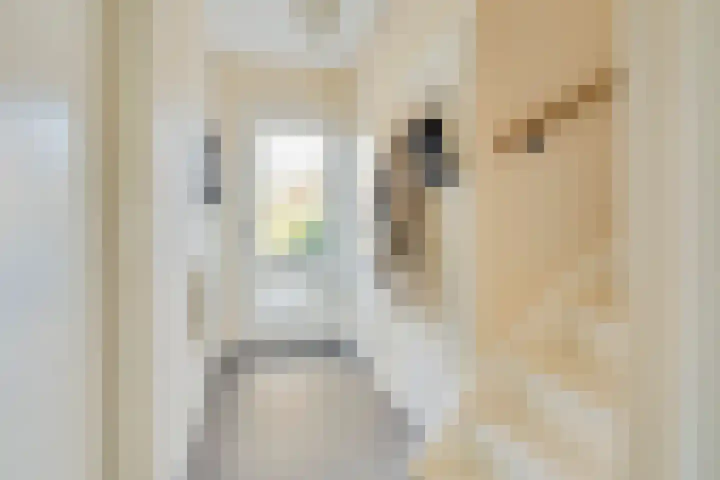 de Ruijterstraat 16 Son en Breugel thumbnail 9
