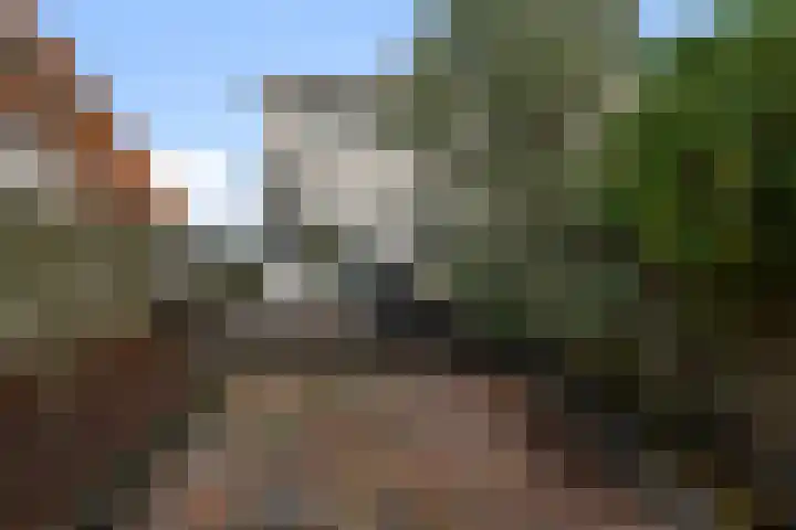 De Ruijterstraat 17 Alphen aan den Rijn thumbnail 20