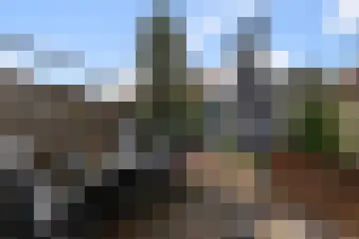De Ruijterstraat 17 Alphen aan den Rijn thumbnail 21