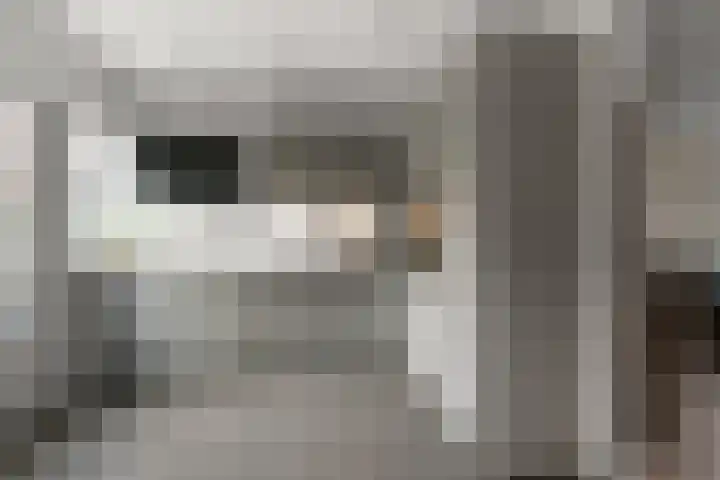 De Ruijterstraat 17 Alphen aan den Rijn thumbnail 4