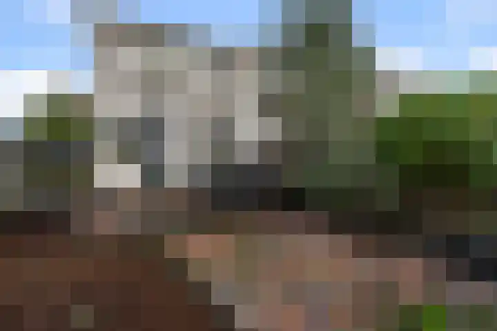 De Ruijterstraat 17 Alphen aan den Rijn thumbnail 5