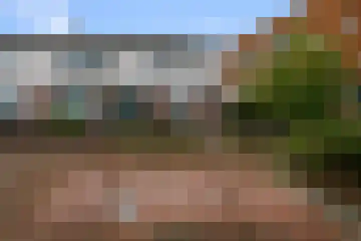 De Ruijterstraat 17 Alphen aan den Rijn thumbnail 6
