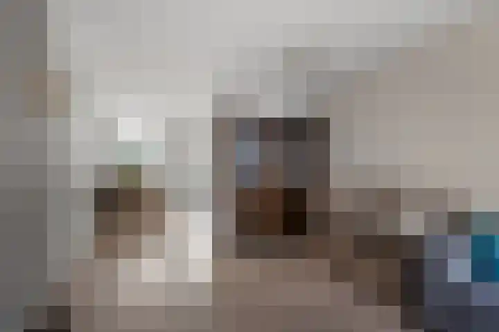 De Ruijterstraat 17 Alphen aan den Rijn thumbnail 8