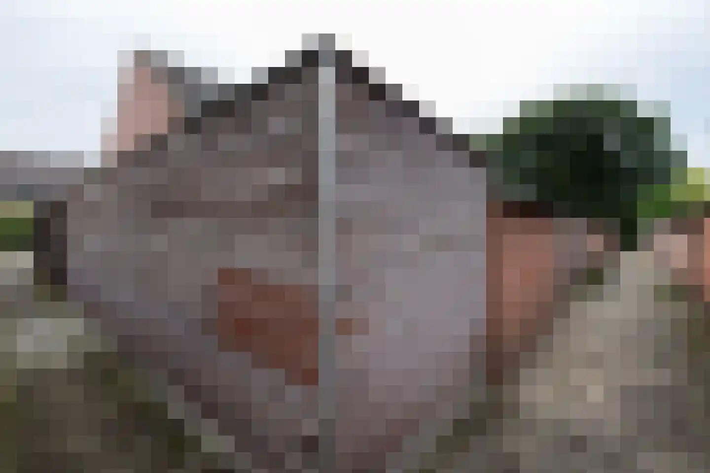 De Ruijterstraat 18 Groenlo thumbnail 32