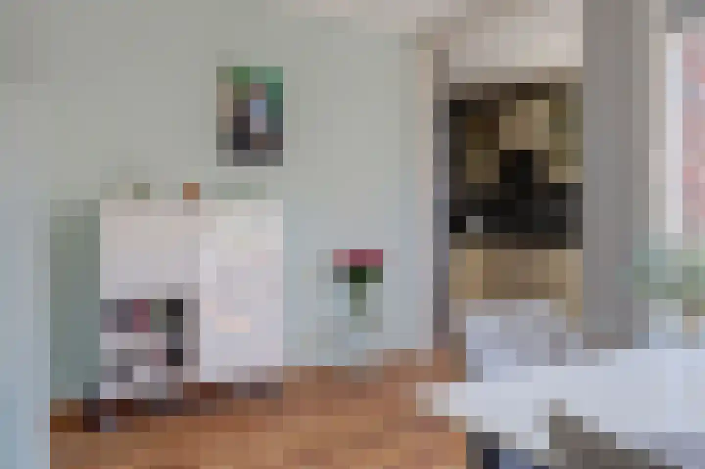 De Ruijterstraat 19 Rozenburg thumbnail 13