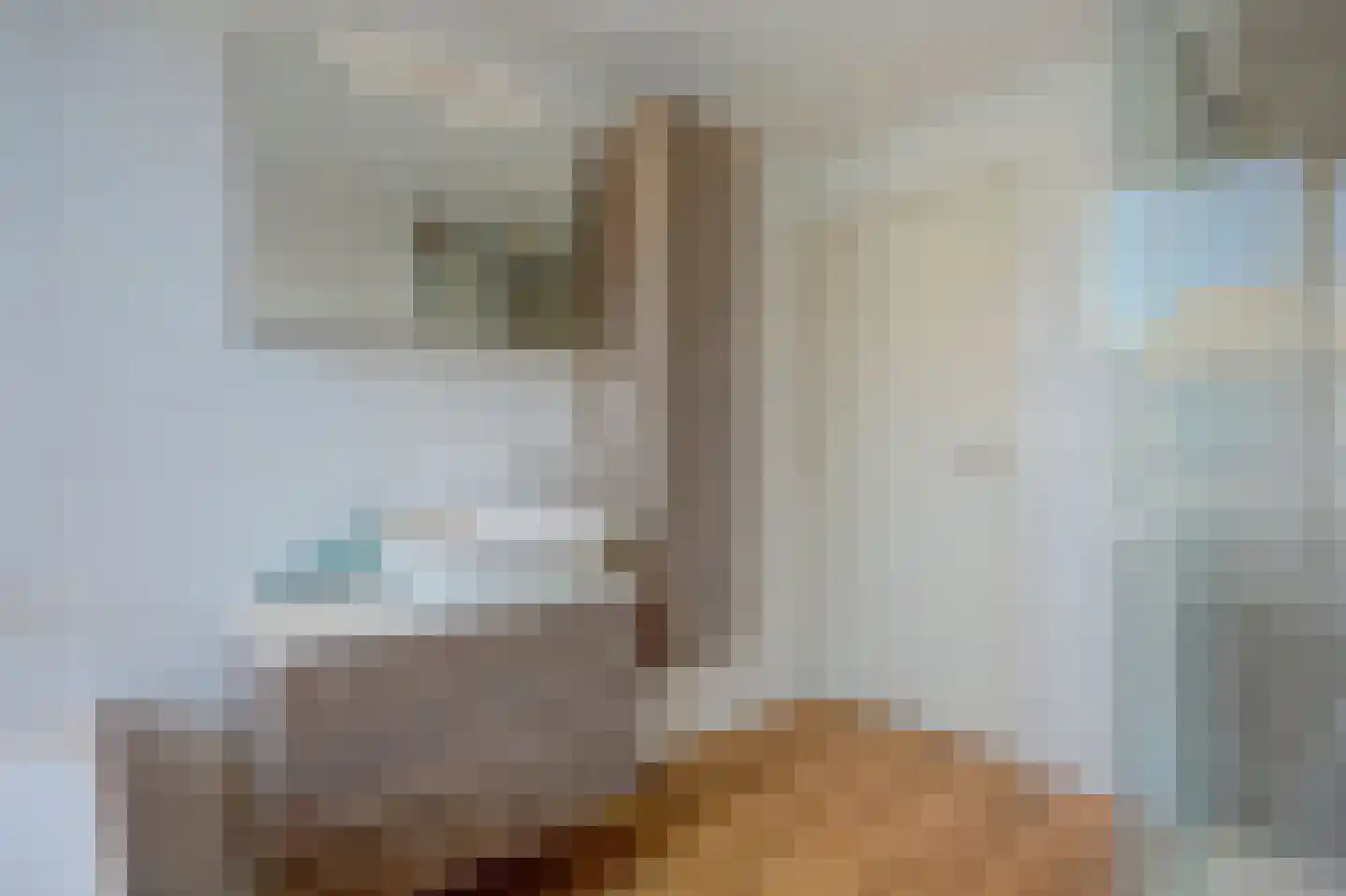De Ruijterstraat 19 Rozenburg thumbnail 30