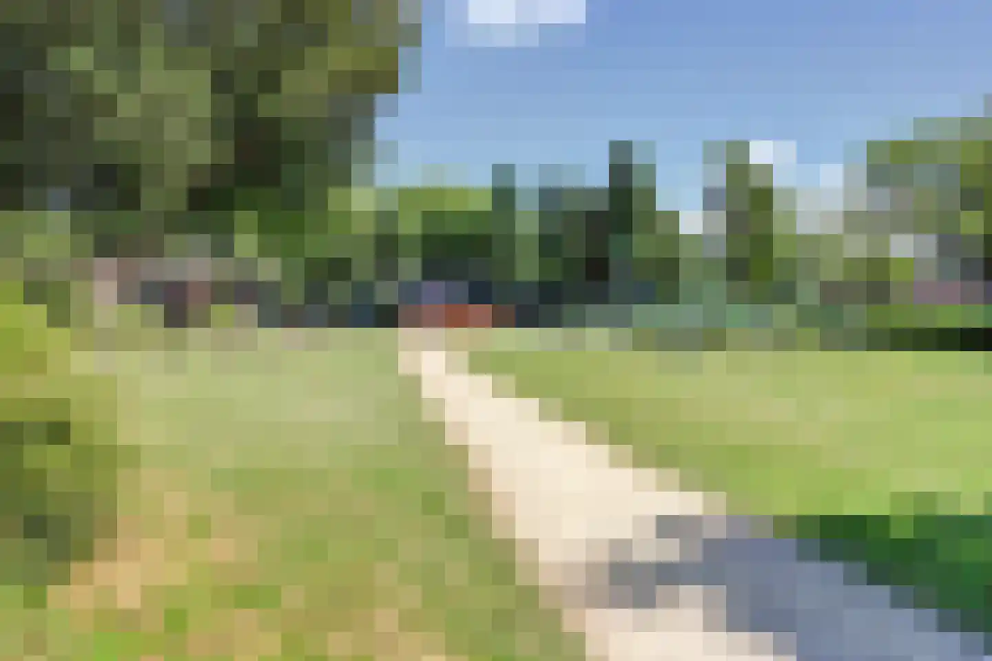 De Ruijterstraat 19 Rozenburg thumbnail 45