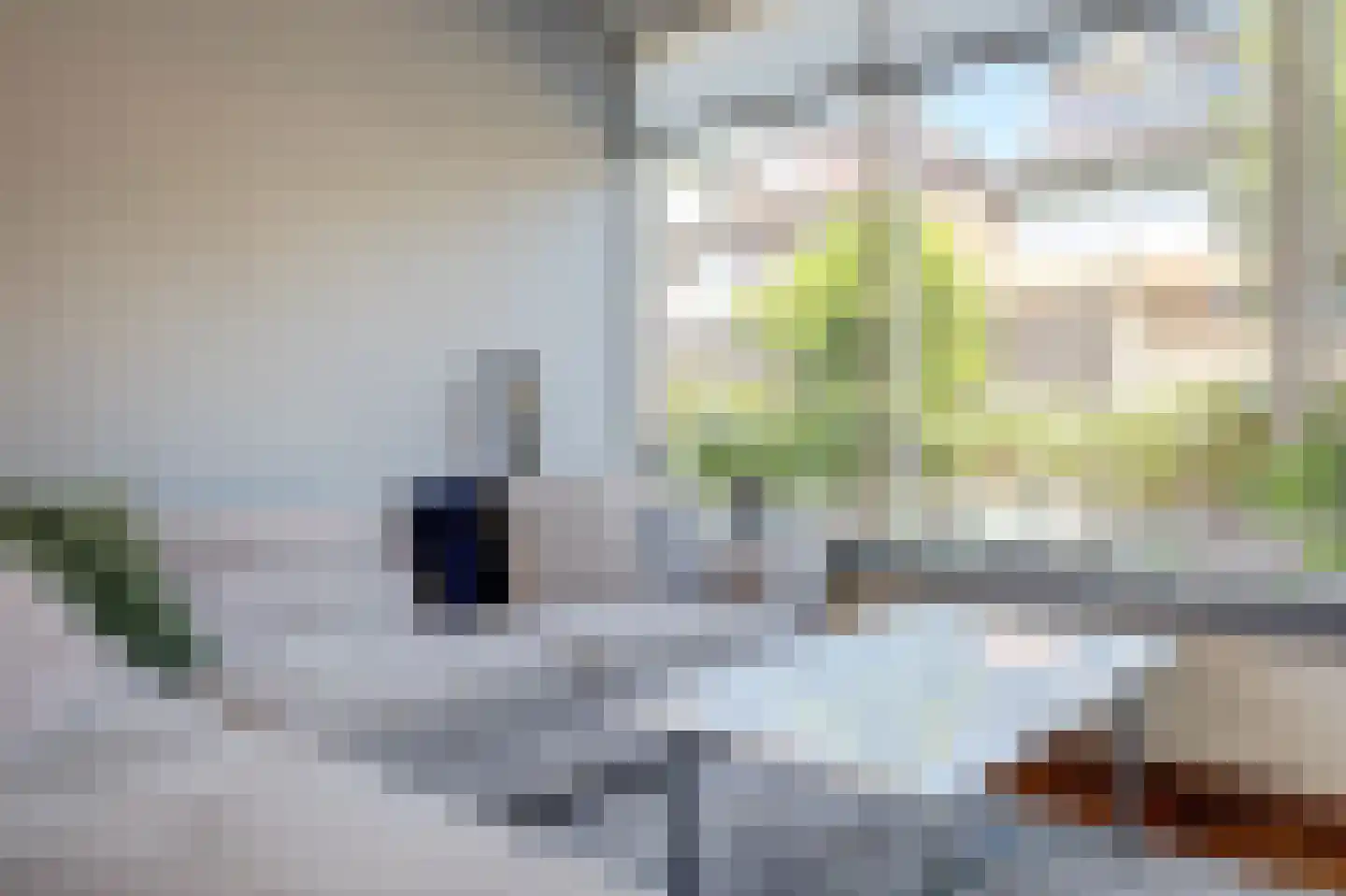 De Ruijterstraat 19 Rozenburg thumbnail 9