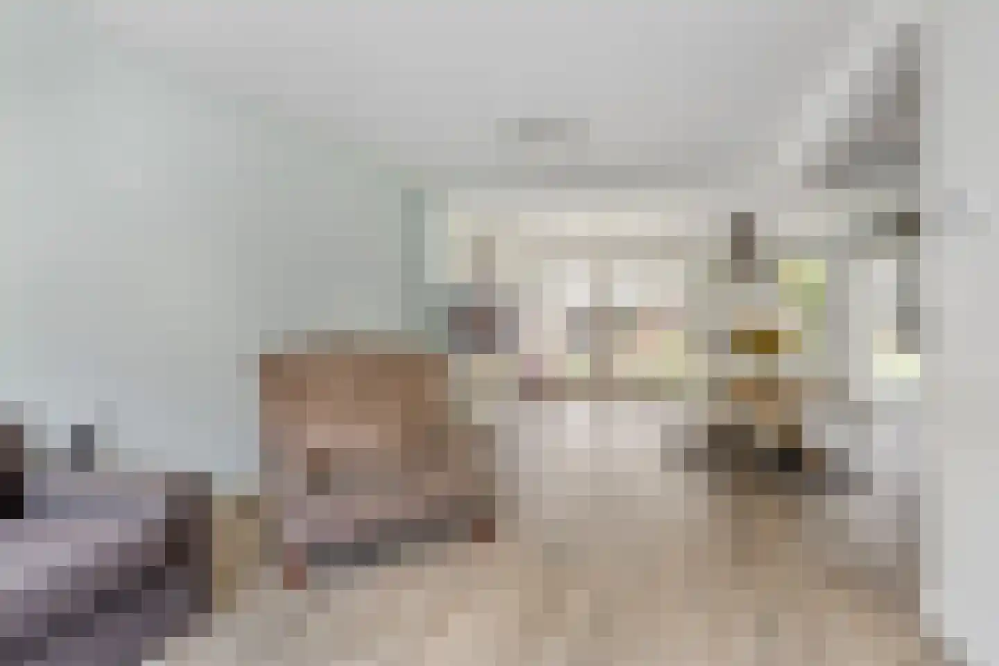 de Ruijterstraat 19 Son en Breugel thumbnail 12