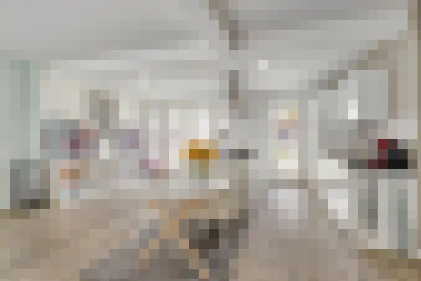 de Ruijterstraat 19 Son en Breugel thumbnail 14