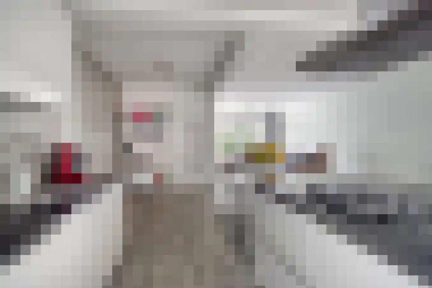 de Ruijterstraat 19 Son en Breugel thumbnail 16