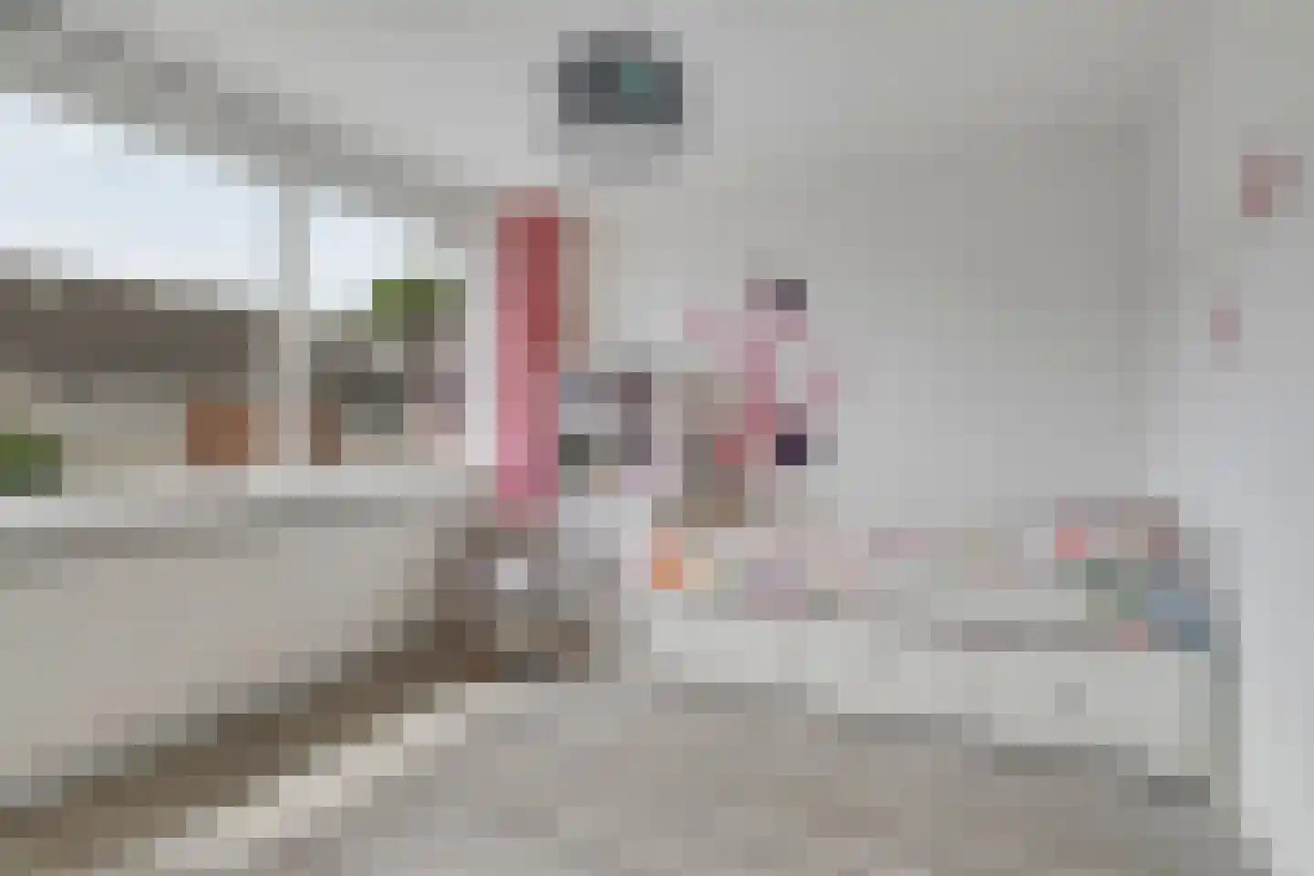 de Ruijterstraat 19 Son en Breugel thumbnail 5