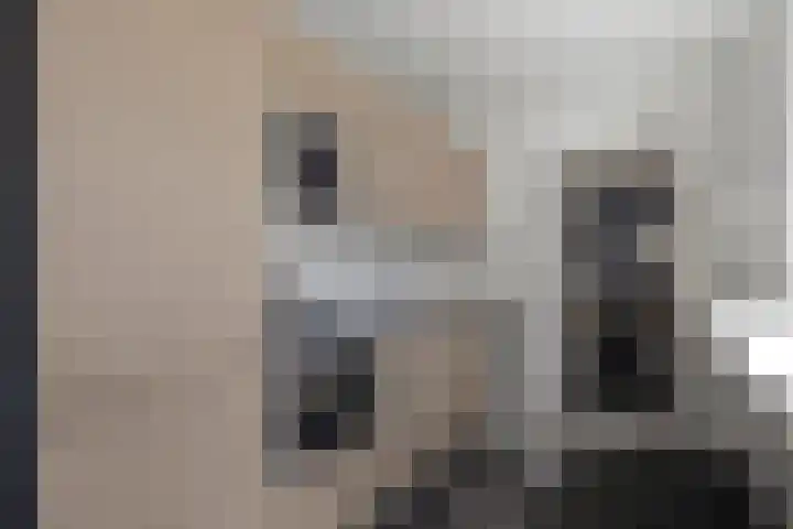 De Ruijterstraat 2 Den Helder thumbnail 4