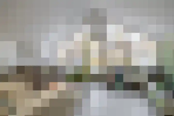 de Ruijterstraat 22 Middelharnis thumbnail 10