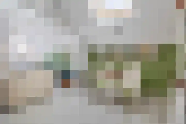 de Ruijterstraat 22 Middelharnis thumbnail 15
