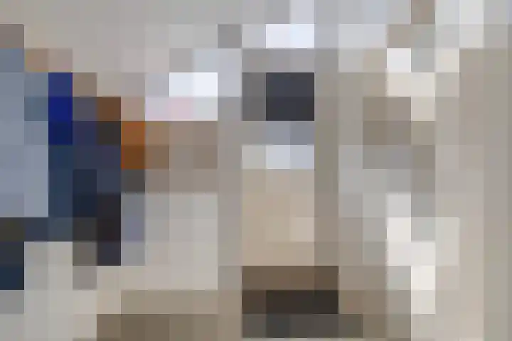 de Ruijterstraat 22 Middelharnis thumbnail 8