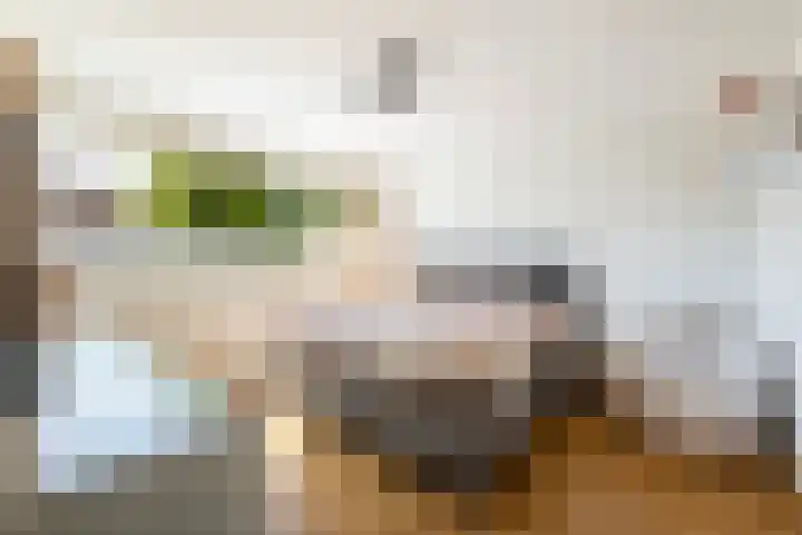 De Ruijterstraat 24 Groenlo thumbnail 18