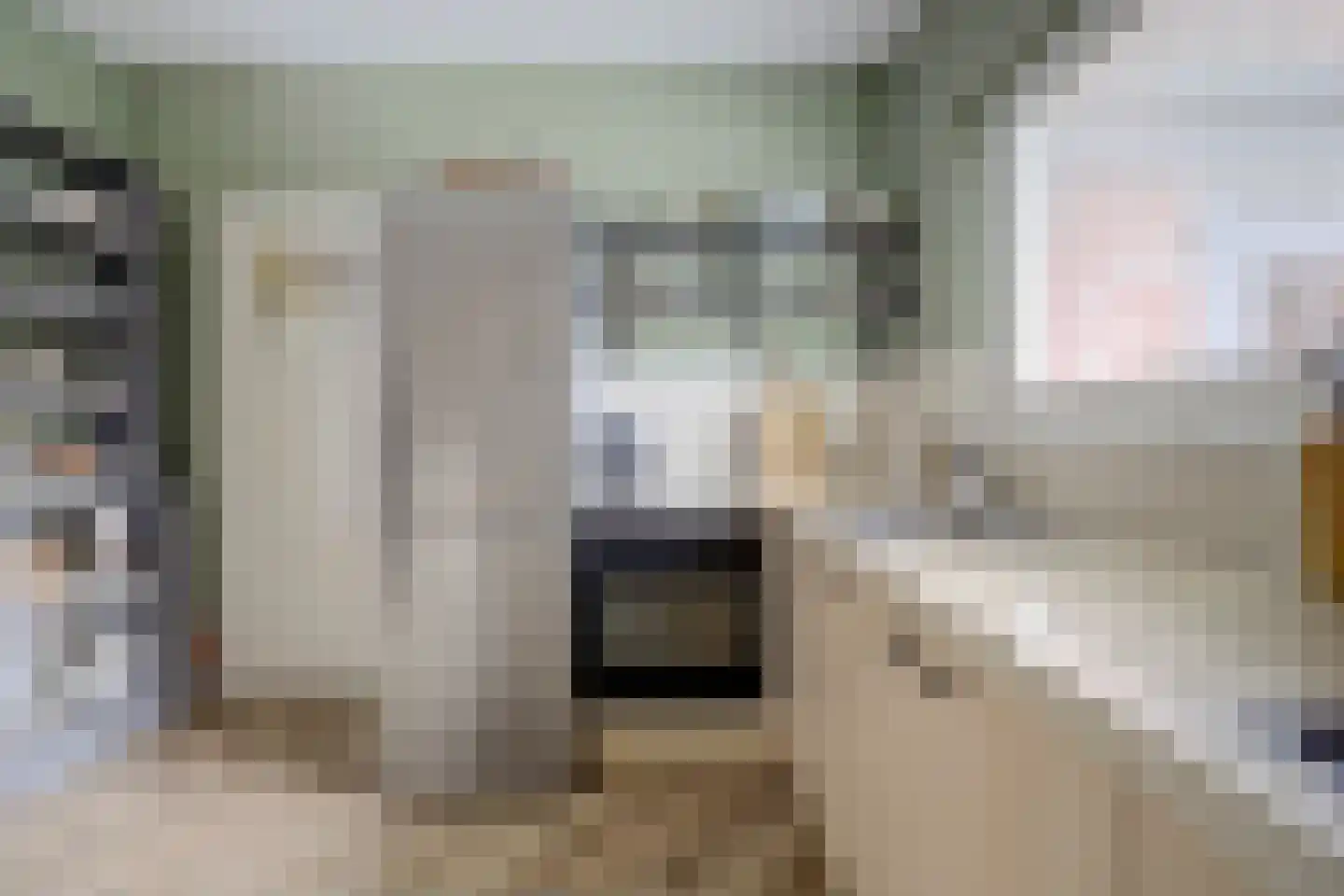 De Ruijterstraat 25 Rozenburg thumbnail 14