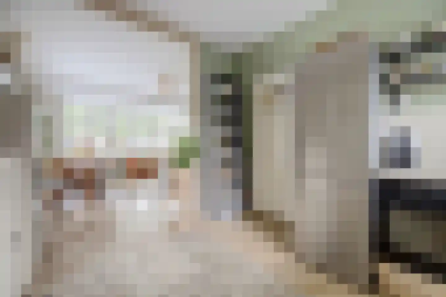 De Ruijterstraat 25 Rozenburg thumbnail 15