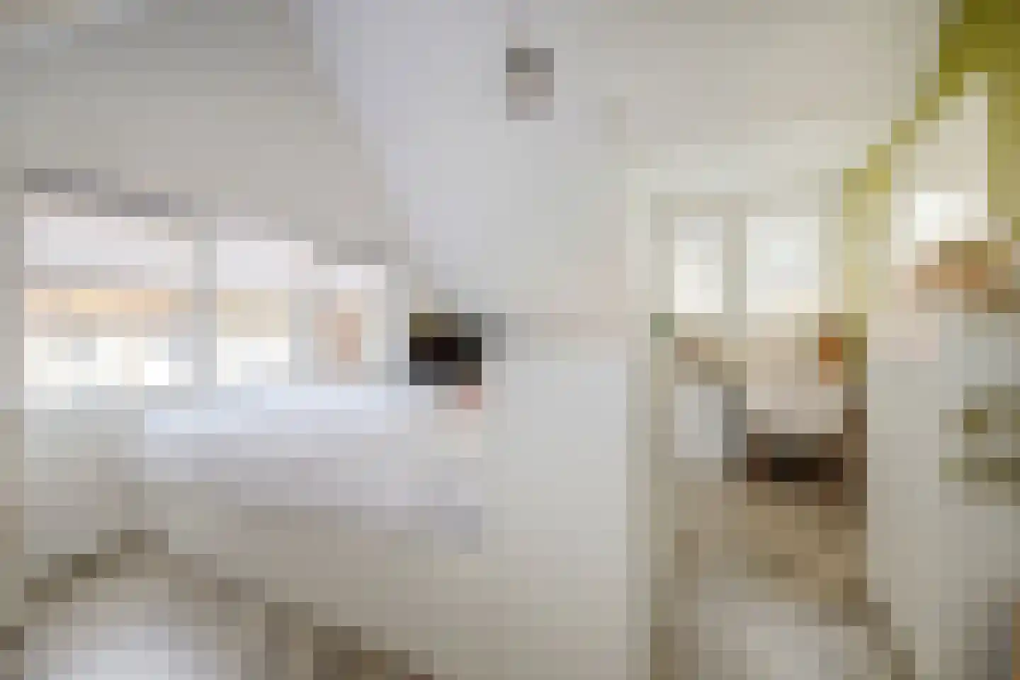 De Ruijterstraat 25 Rozenburg thumbnail 24