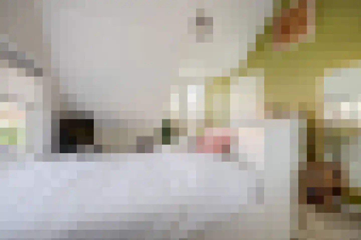 De Ruijterstraat 25 Rozenburg thumbnail 26