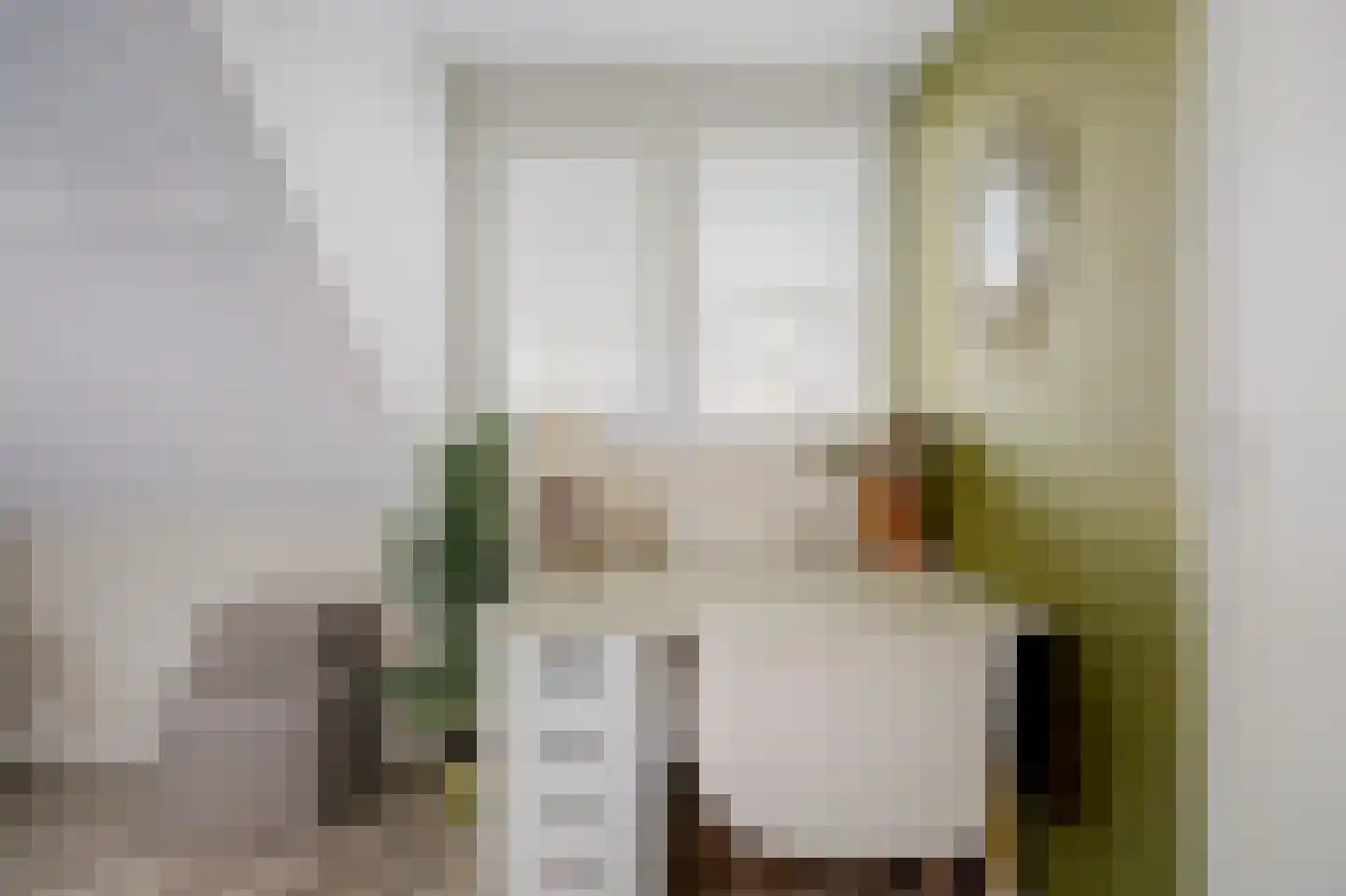 De Ruijterstraat 25 Rozenburg thumbnail 29