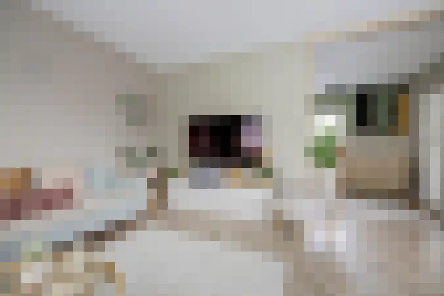 De Ruijterstraat 25 Rozenburg thumbnail 7