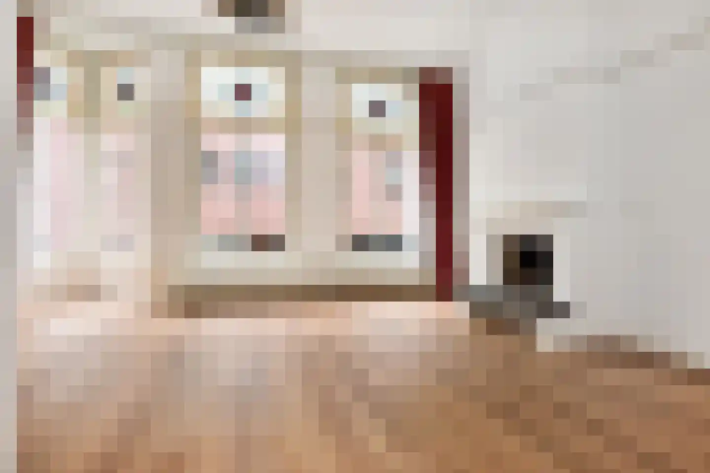 De Ruijterstraat 27 Den Haag thumbnail 6