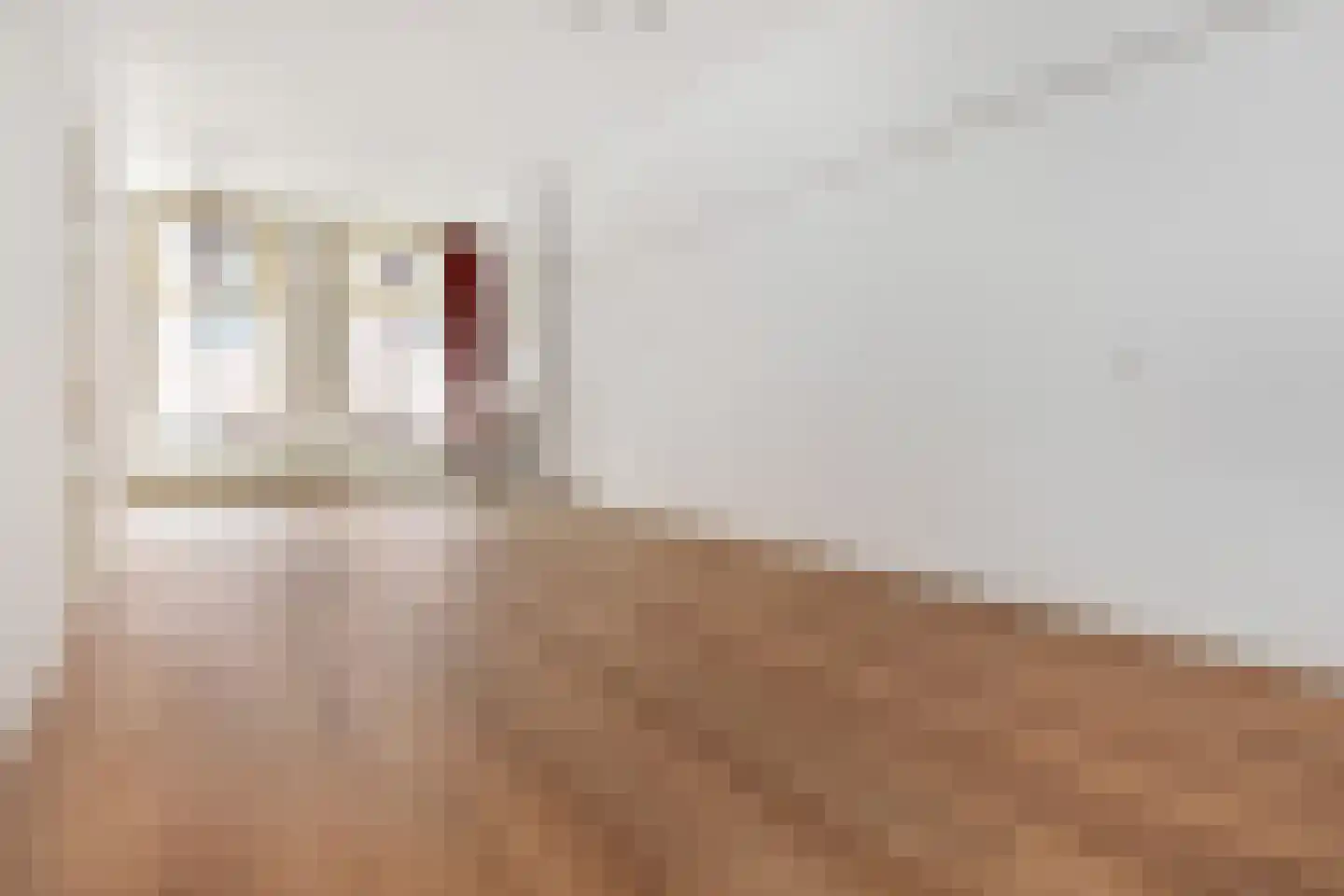 De Ruijterstraat 27 Den Haag thumbnail 7