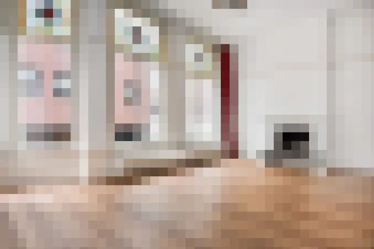 De Ruijterstraat 27 Den Haag thumbnail 9