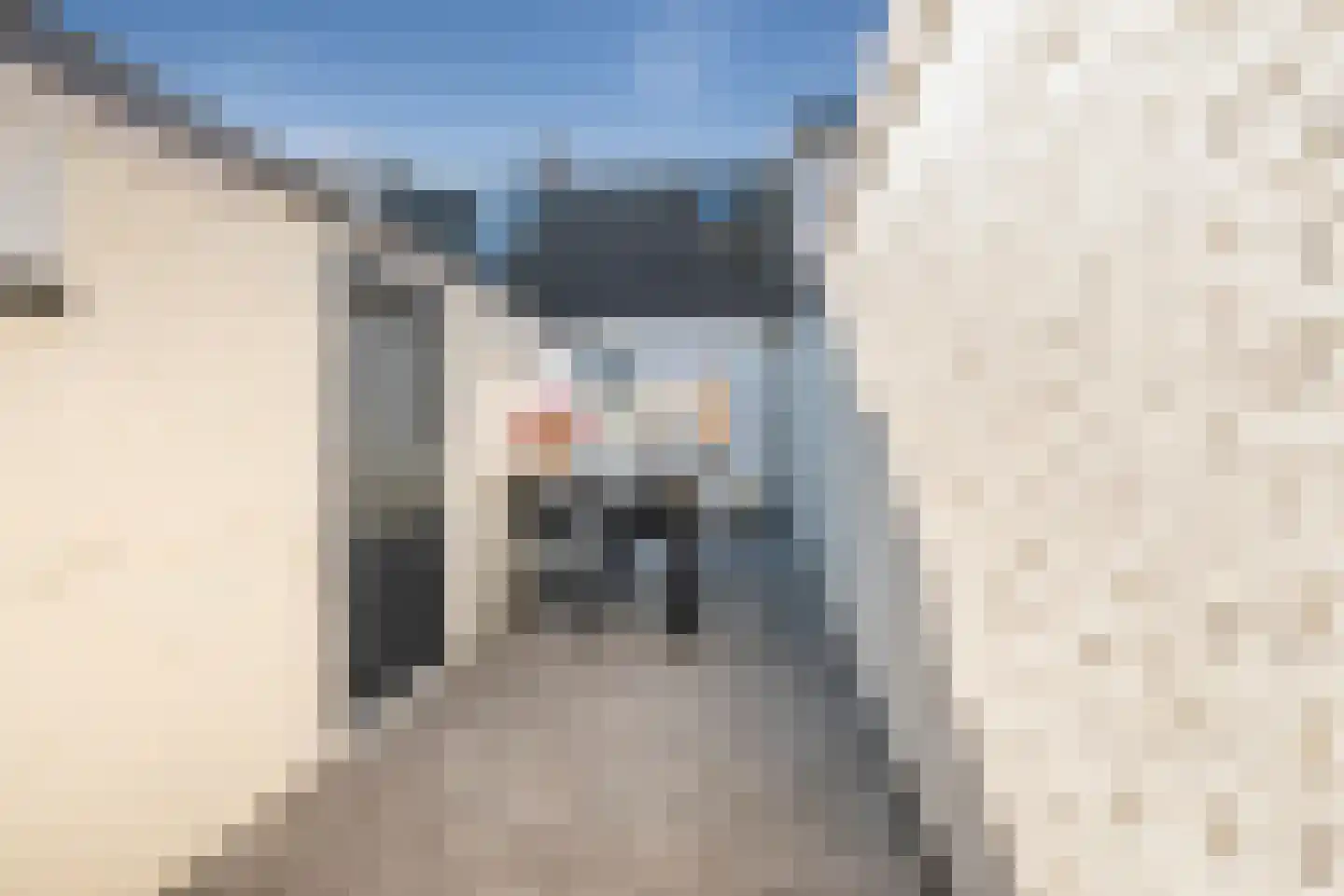 De Ruijterstraat 27 Den Helder thumbnail 22